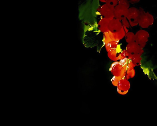 31208 (a): :1280x1024